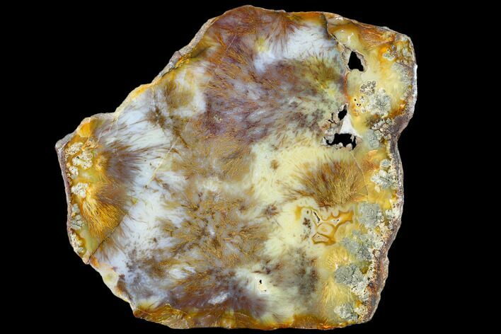 Nipomo Sagenite Agate Slab - Freddie Quarry, California #114781